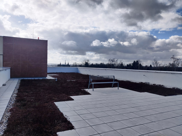 Pavilon se pyšní zelenou střechou a unikátním výhledem