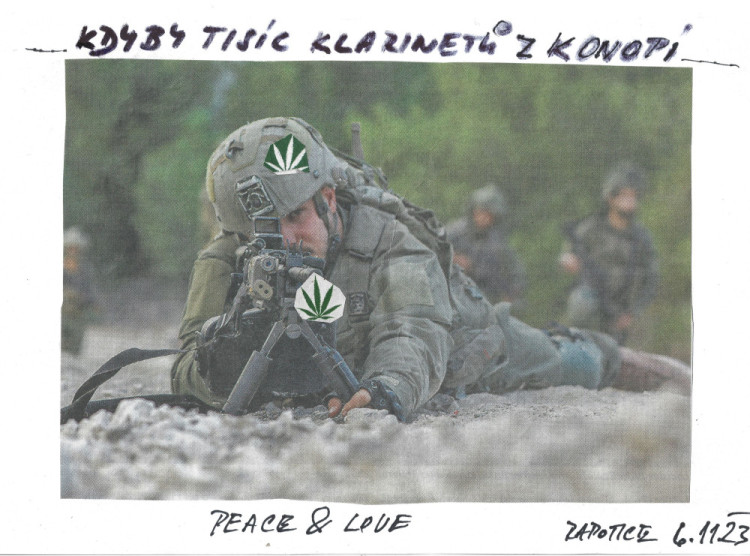 FOTOGALERIE: Šest let pro Dušana Dvořáka za pěstování léčebného konopí