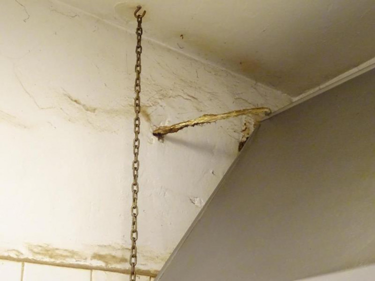 SZPI - kontrola jihlavské restaurace U Františka