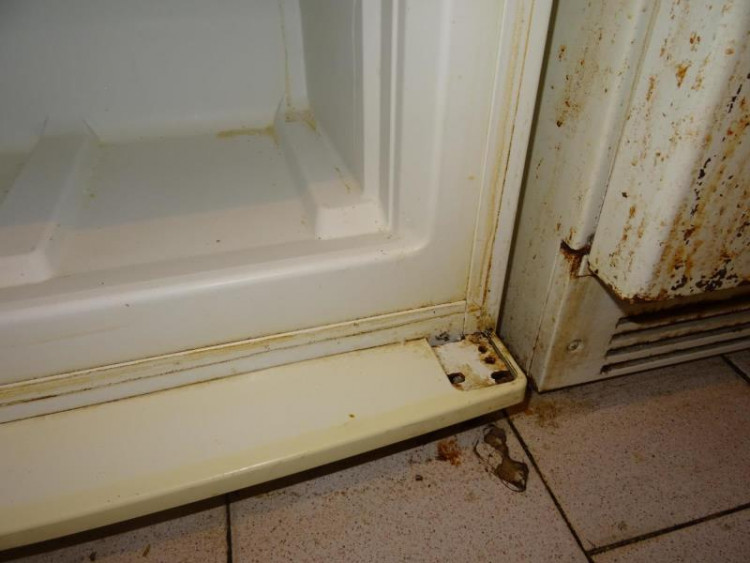 SZPI - kontrola jihlavské restaurace U Františka