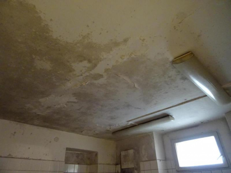 SZPI - kontrola jihlavské restaurace U Františka