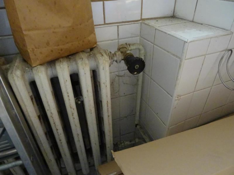 SZPI - kontrola jihlavské restaurace U Františka