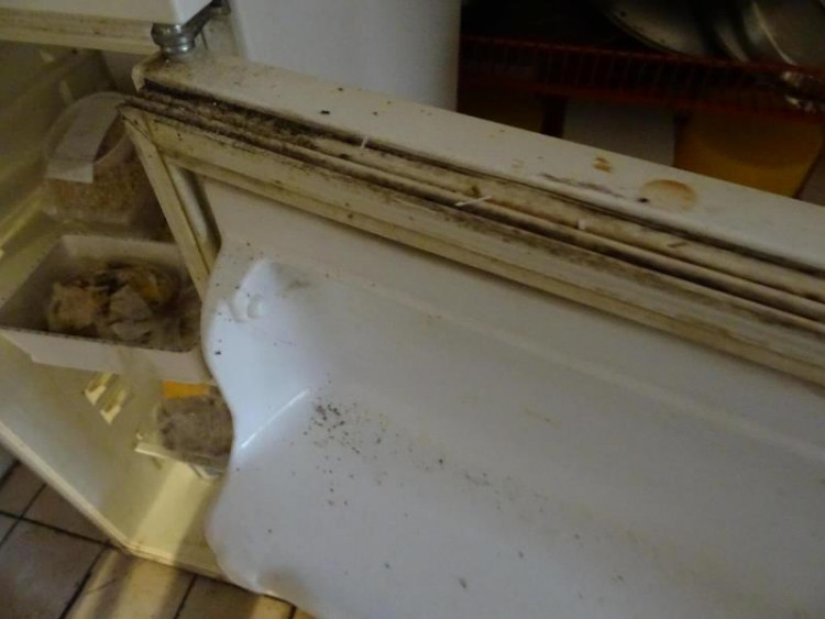 SZPI - kontrola jihlavské restaurace U Františka