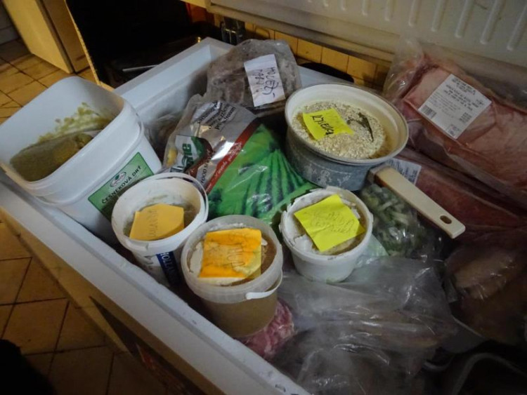 SZPI - kontrola jihlavské restaurace U Františka