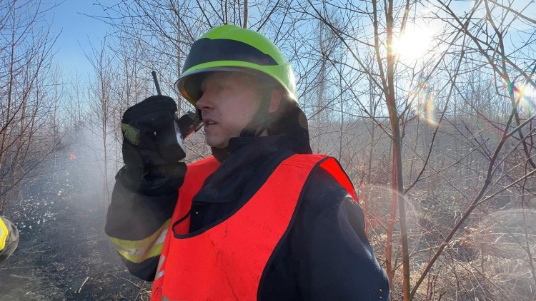 FOTOGALERIE: Lesní požár u Jívové