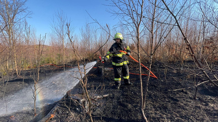 FOTOGALERIE: Lesní požár u Jívové