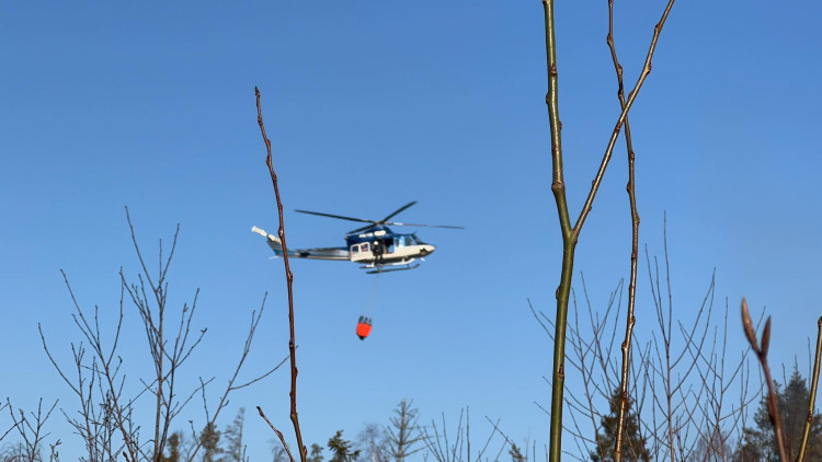FOTOGALERIE: Lesní požár u Jívové