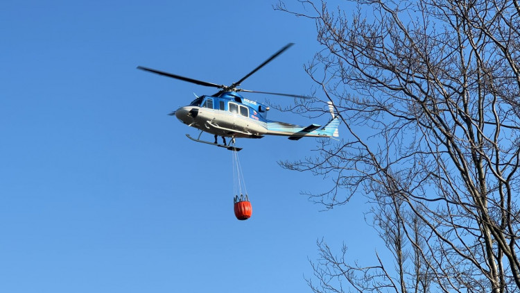FOTOGALERIE: Lesní požár u Jívové
