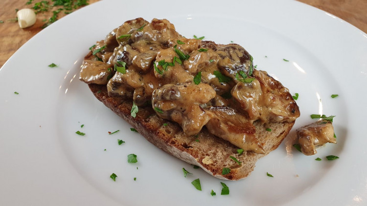 FOTOGALERIE: Šumavská houbička