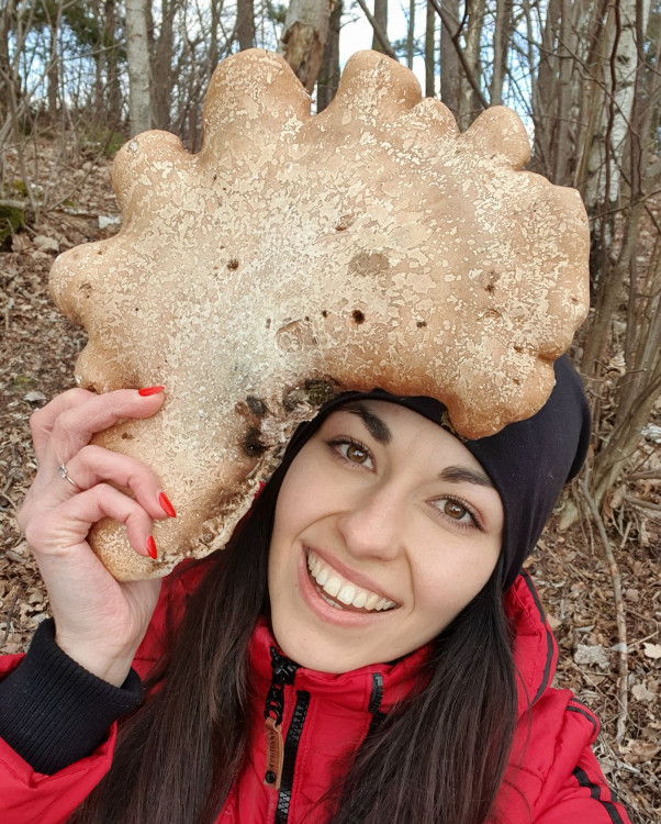 FOTOGALERIE: Šumavská houbička