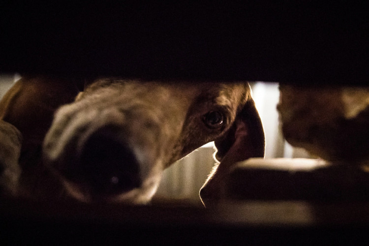 Část bývalé továrny ve Smržovce se proměnila v unikátní polygon.