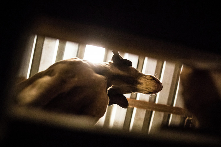 Část bývalé továrny ve Smržovce se proměnila v unikátní polygon.