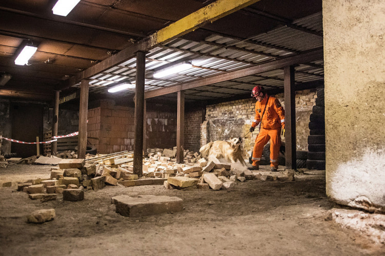 Část bývalé továrny ve Smržovce se proměnila v unikátní polygon.