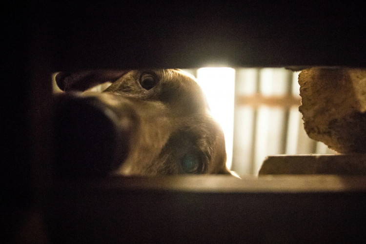 Část bývalé továrny ve Smržovce se proměnila v unikátní polygon.