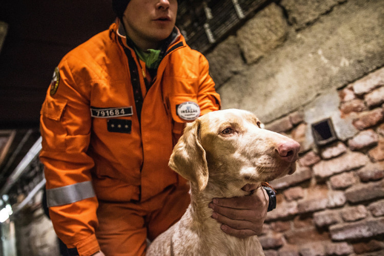 Část bývalé továrny ve Smržovce se proměnila v unikátní polygon.