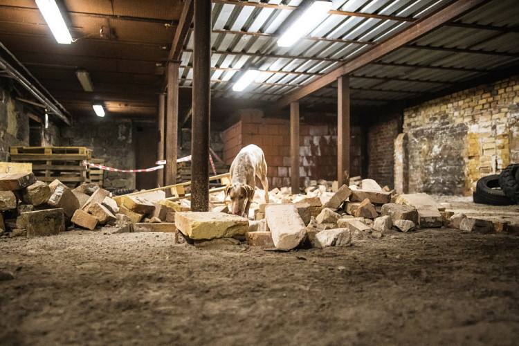 Část bývalé továrny ve Smržovce se proměnila v unikátní polygon.