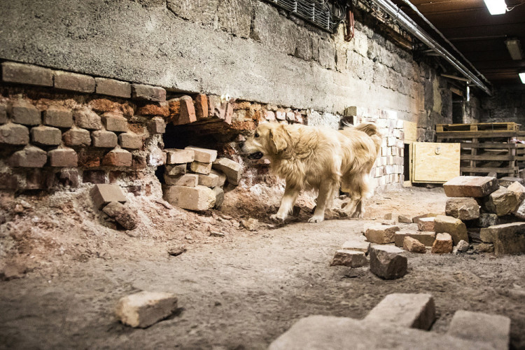 Část bývalé továrny ve Smržovce se proměnila v unikátní polygon.