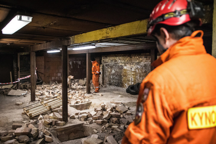 Část bývalé továrny ve Smržovce se proměnila v unikátní polygon.