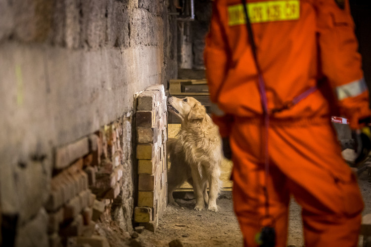 Část bývalé továrny ve Smržovce se proměnila v unikátní polygon.