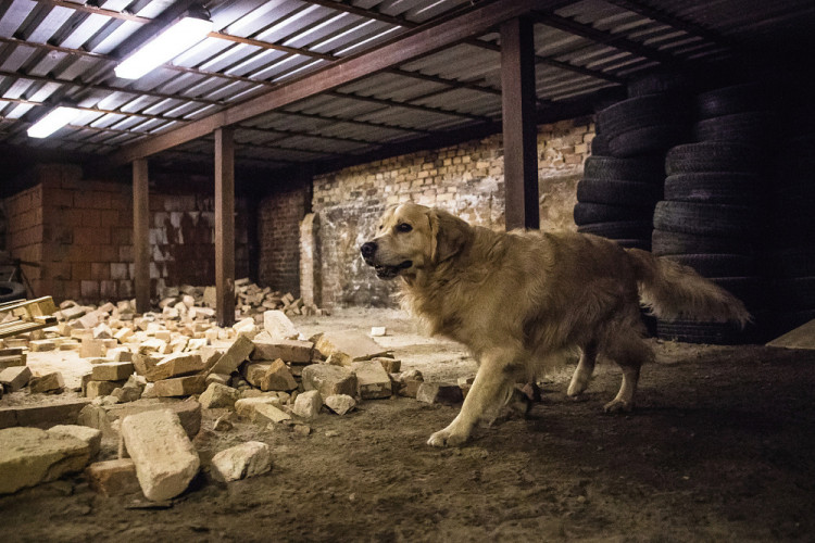 Část bývalé továrny ve Smržovce se proměnila v unikátní polygon.