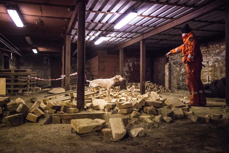 Část bývalé továrny ve Smržovce se proměnila v unikátní polygon.