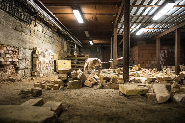 Část bývalé továrny ve Smržovce se proměnila v unikátní polygon.