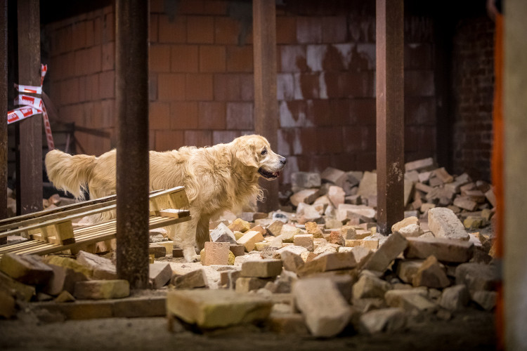 Část bývalé továrny ve Smržovce se proměnila v unikátní polygon.
