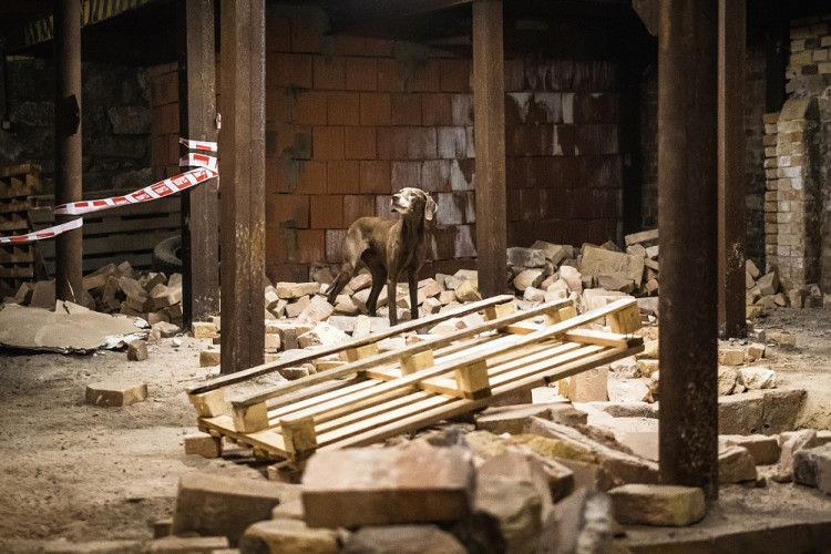 Část bývalé továrny ve Smržovce se proměnila v unikátní polygon.