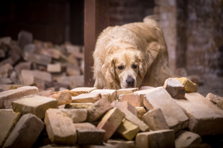 Část bývalé továrny ve Smržovce se proměnila v unikátní polygon.