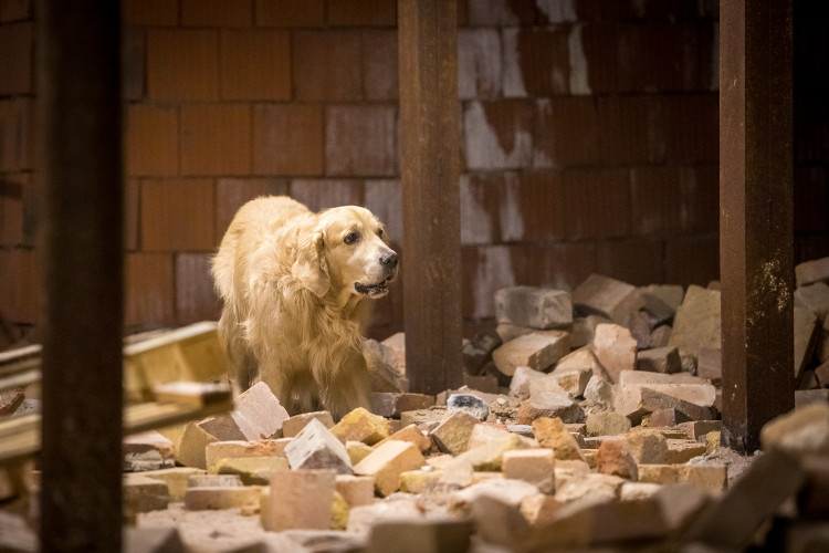 Část bývalé továrny ve Smržovce se proměnila v unikátní polygon.