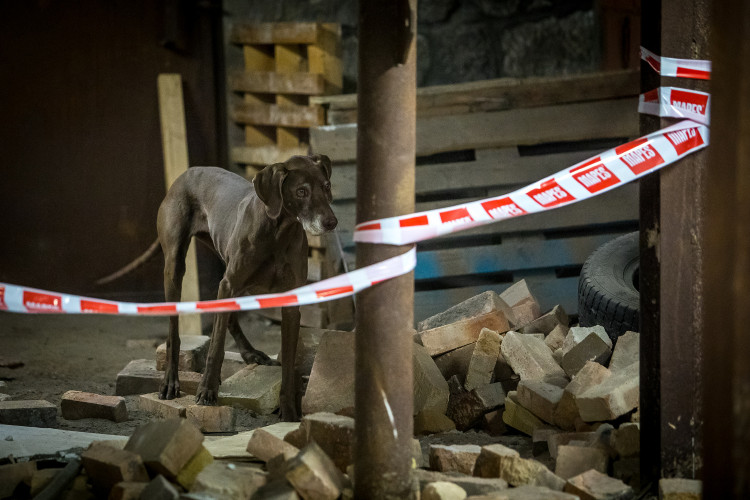 Část bývalé továrny ve Smržovce se proměnila v unikátní polygon.