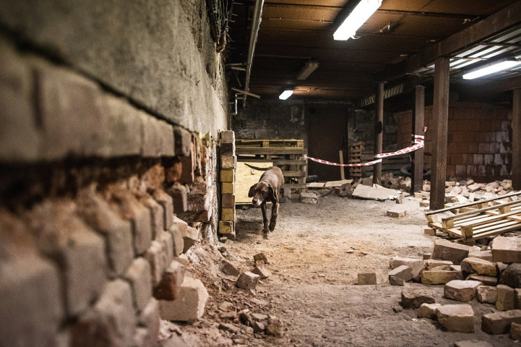 Část bývalé továrny ve Smržovce se proměnila v unikátní polygon.