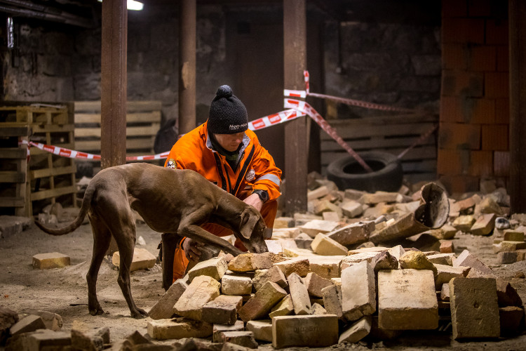 Část bývalé továrny ve Smržovce se proměnila v unikátní polygon.