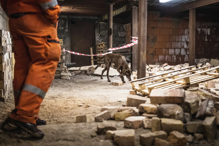 Část bývalé továrny ve Smržovce se proměnila v unikátní polygon.