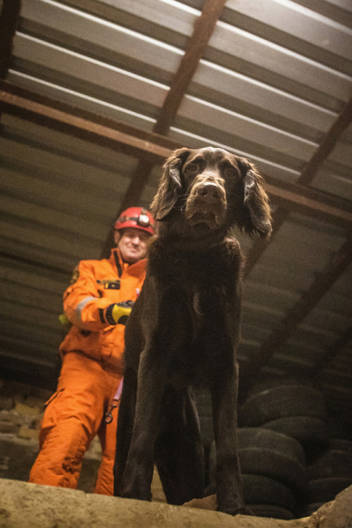 Část bývalé továrny ve Smržovce se proměnila v unikátní polygon.