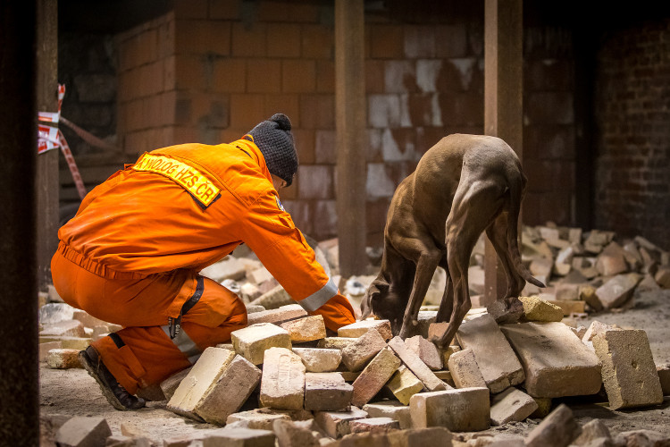 Část bývalé továrny ve Smržovce se proměnila v unikátní polygon.