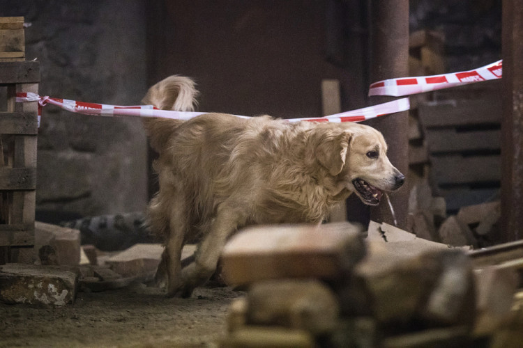 Část bývalé továrny ve Smržovce se proměnila v unikátní polygon.