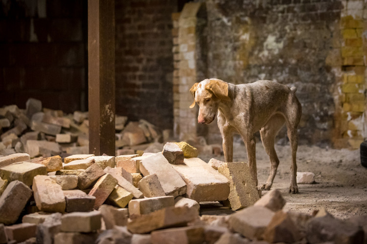 Část bývalé továrny ve Smržovce se proměnila v unikátní polygon.