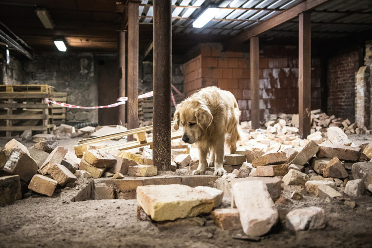 Část bývalé továrny ve Smržovce se proměnila v unikátní polygon.