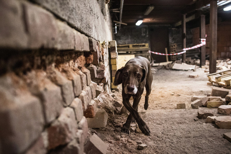 Část bývalé továrny ve Smržovce se proměnila v unikátní polygon.