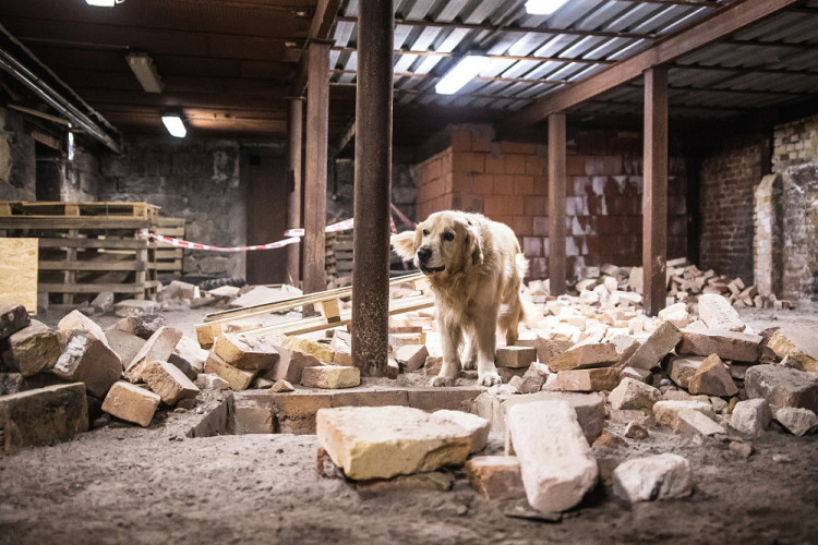 Část bývalé továrny ve Smržovce se proměnila v unikátní polygon.