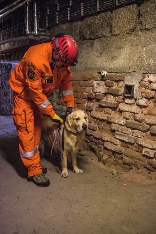 Část bývalé továrny ve Smržovce se proměnila v unikátní polygon.