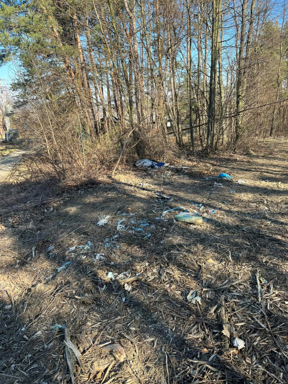 FOTOGALERIE: Wood Bikerally Series na Plumlově