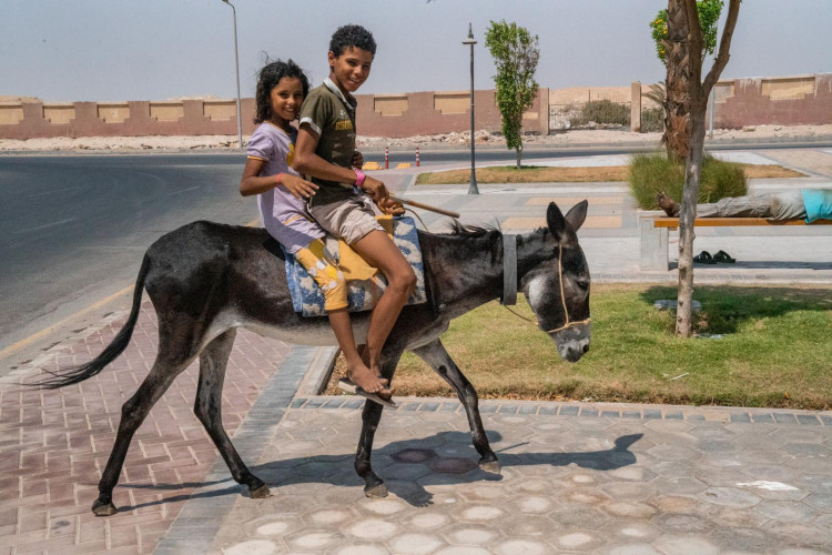 FOTOGALERIE: Expedice Z101