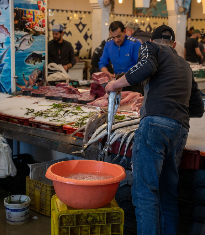 FOTOGALERIE: Expedice Z101