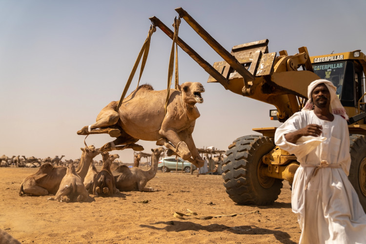 FOTOGALERIE: Expedice Z101