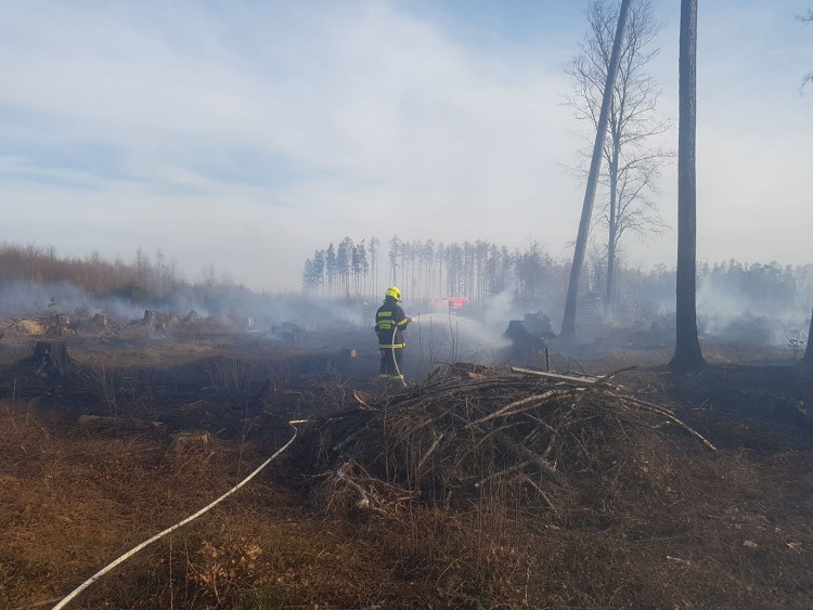 FOTOGALERIE: Rozsáhlý požár lesa u Kozlova na Olomoucku