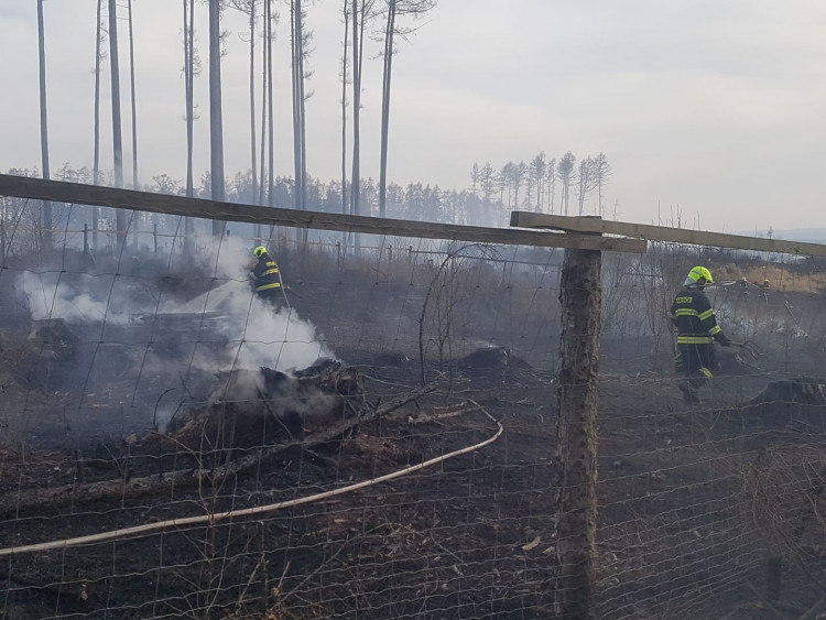 FOTOGALERIE: Rozsáhlý požár lesa u Kozlova na Olomoucku