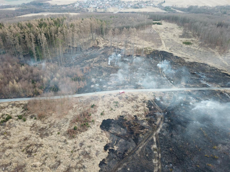 FOTOGALERIE: Rozsáhlý požár lesa u Kozlova na Olomoucku