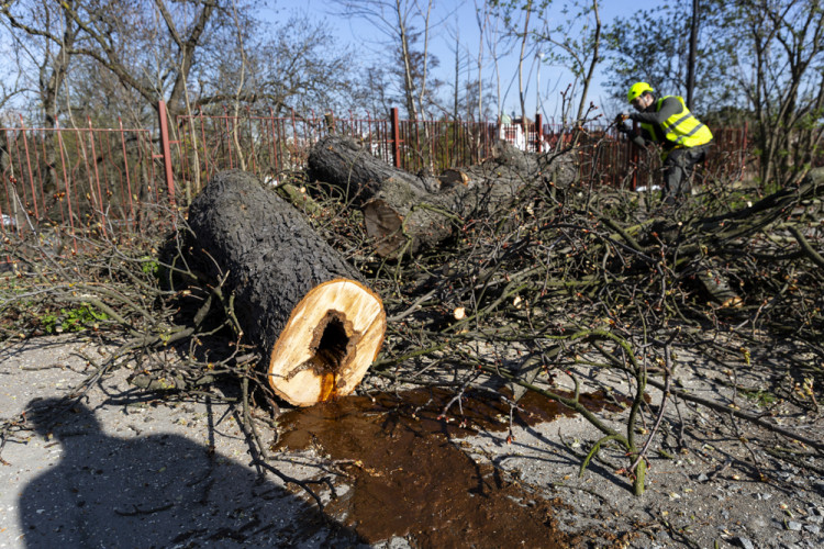 Letní kino v Olomouci prošlo rekonstrukcí. Hlediště ještě čekají úpravy